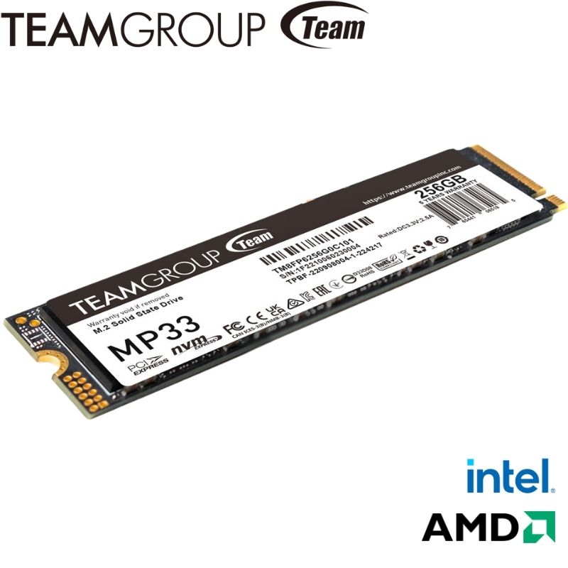 Unidad en Estado Solido TEAMGROUP MP33 M.2 PCIe, 256GB.